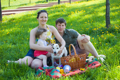 A family picnic with a dog in a park.