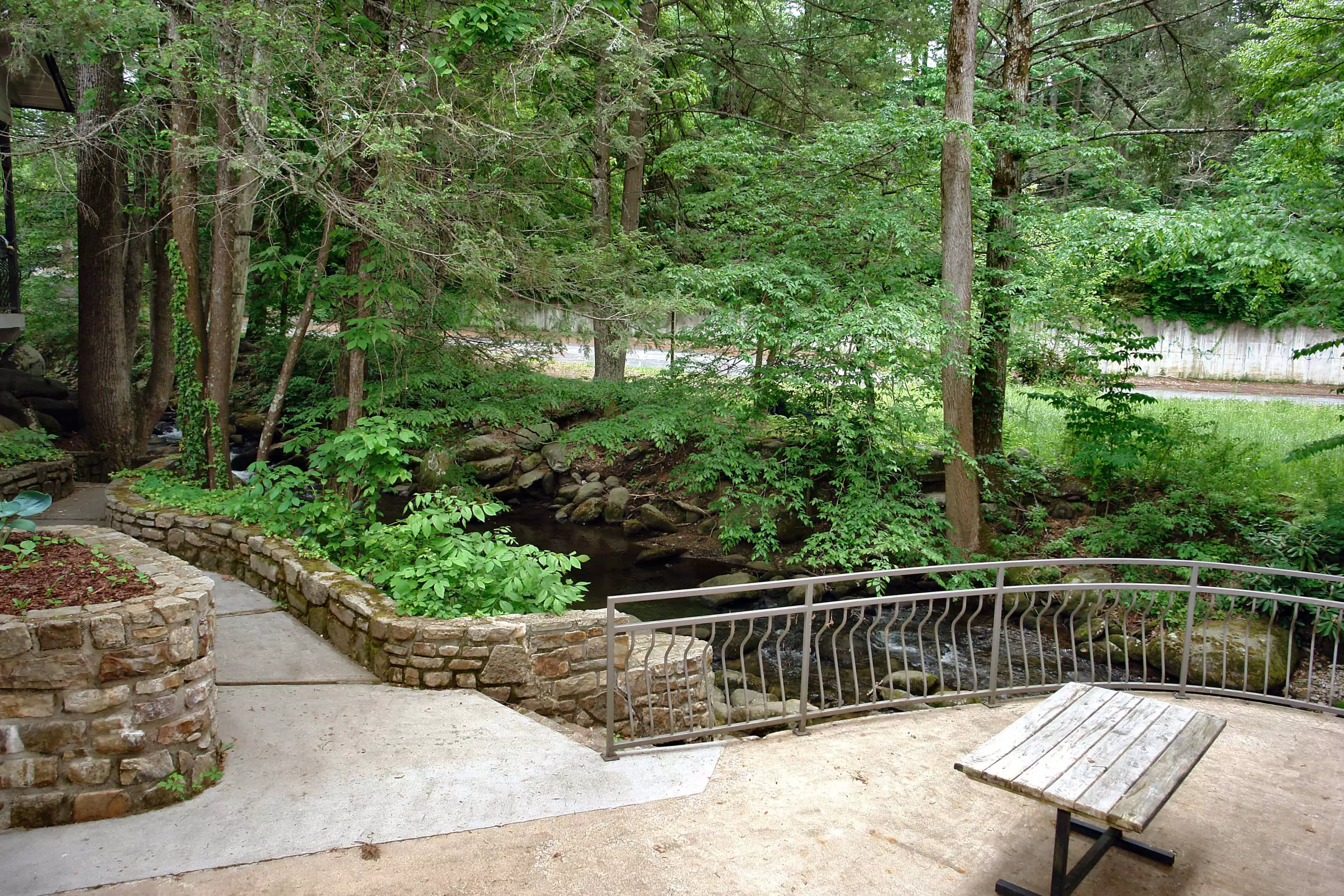 walking area by the creek at Sidney James Mountain Lodge