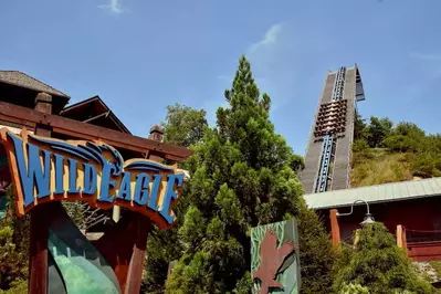 wild-eagle-coaster-sign