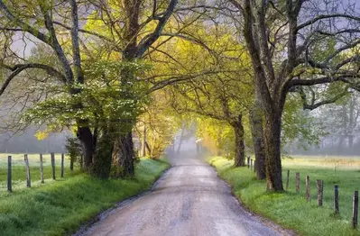 Cades-Cove-Road