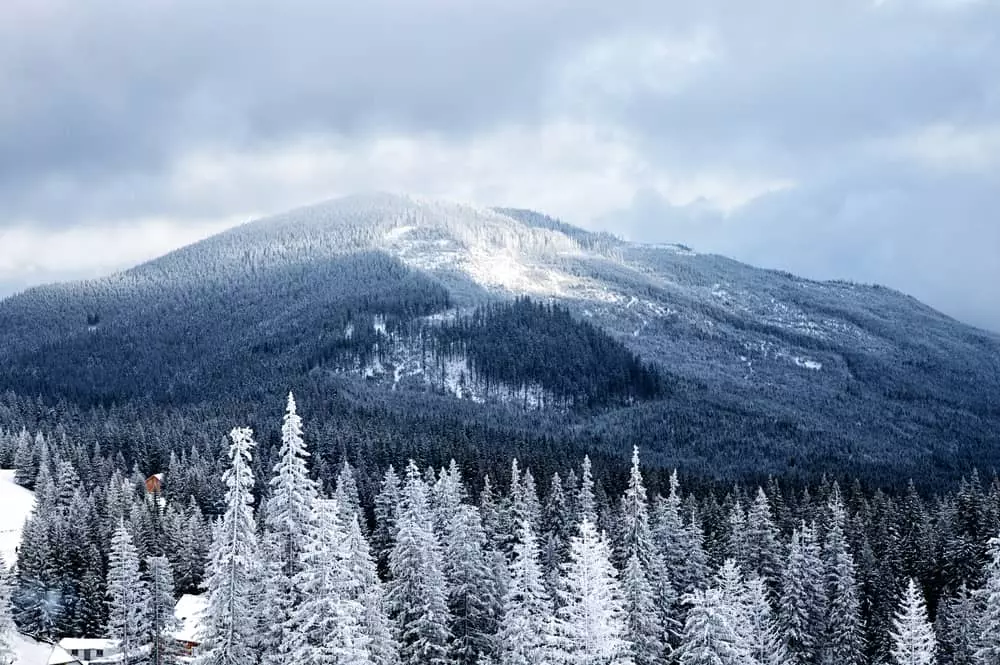 smoky mountains in the snow