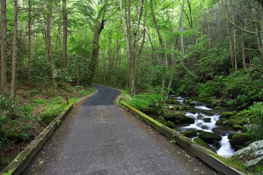 roaring fork motor trail