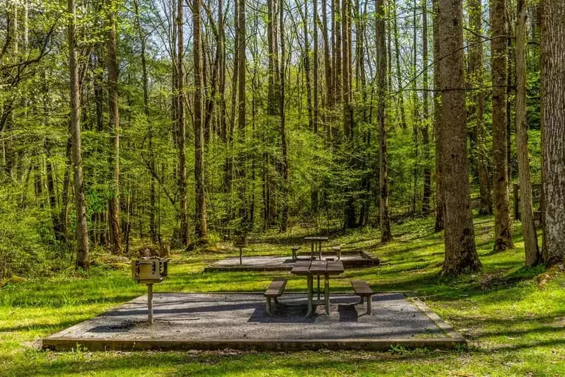 picnic table in the smoky mountains