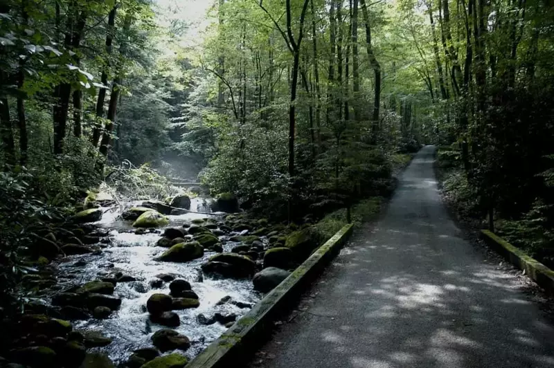 roaring fork motor trail in the smoky mountains