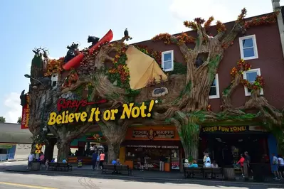 ripley's believe it or not museum