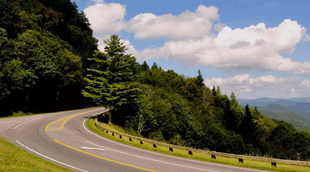 newfound gap road