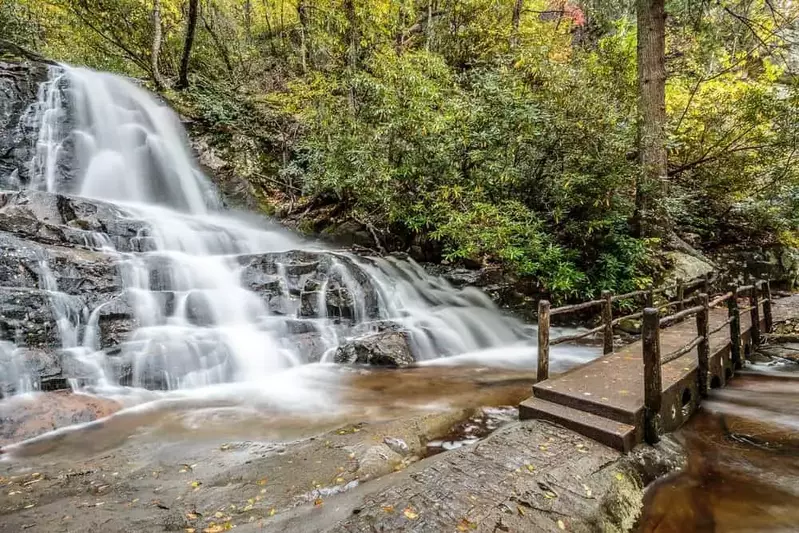 Laurel Falls and footbridge