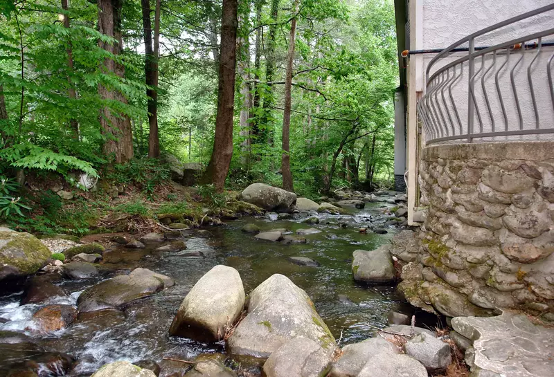 Creek next to Sidney James Mountain Lodge