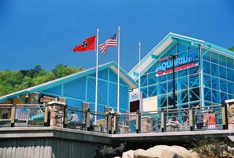 The very popular Ripley's Aquarium of the Smokies in downtown Gatlinburg TN.