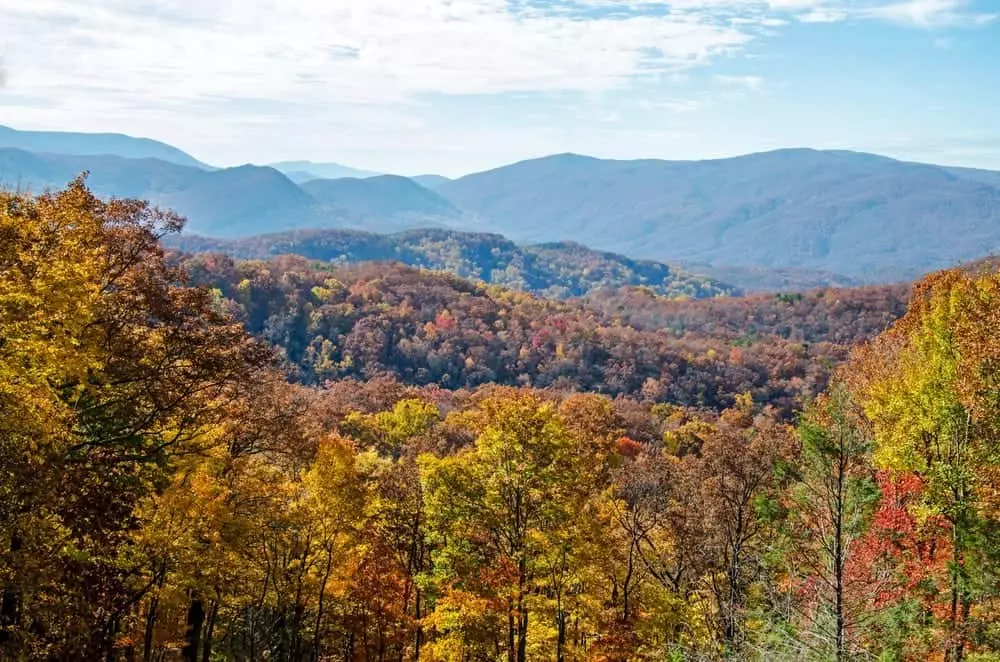 Breathtaking views of the fall foliage in the mountains from the Roaring Fork Motor Nature Trail.