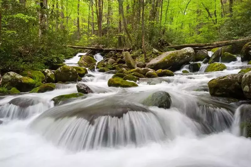 Rushing water along the Roaring Fork Motor Nature Trail in Gatlinburg TN.