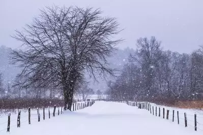 cades-cove-snow