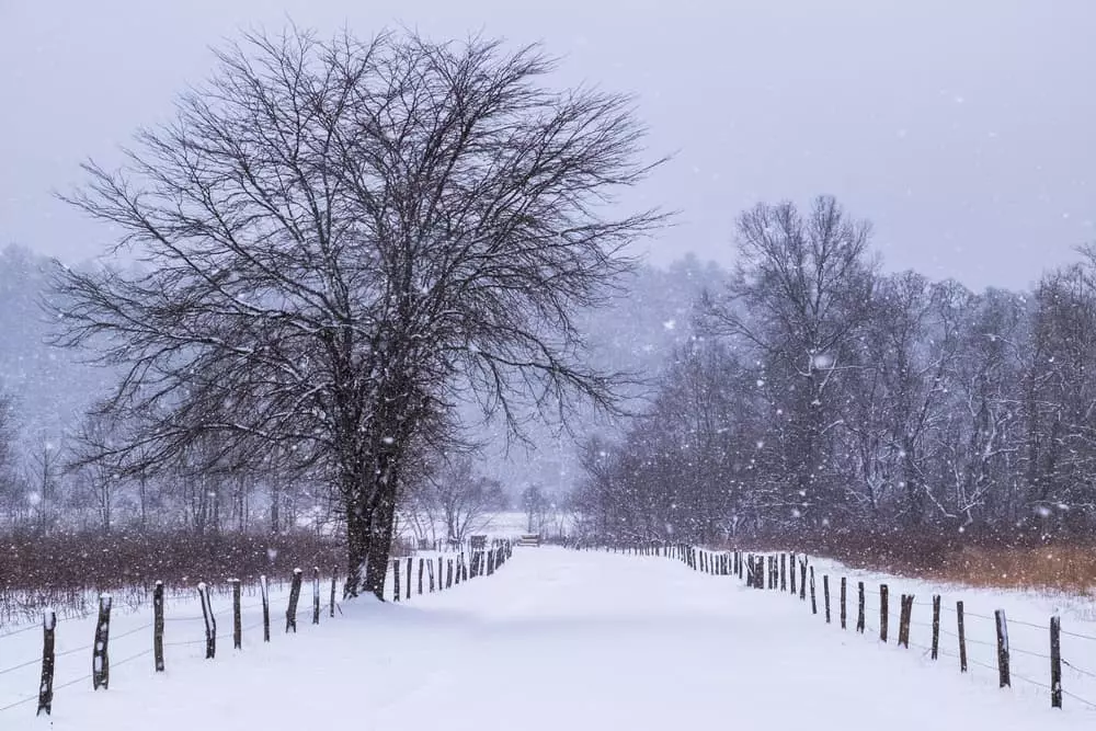 cades-cove-snow