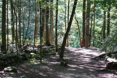 gatlinburg-trail