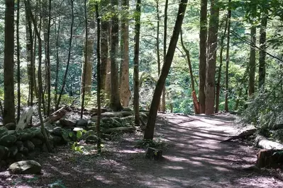 gatlinburg trail - one of the best hikes to take from Sugarlands Visitor Center
