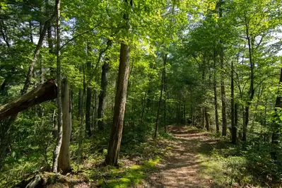 hiking-trail