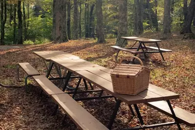 tables in the smoky mountains