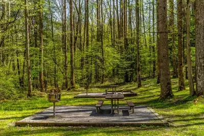 picnic table in the smoky mountains