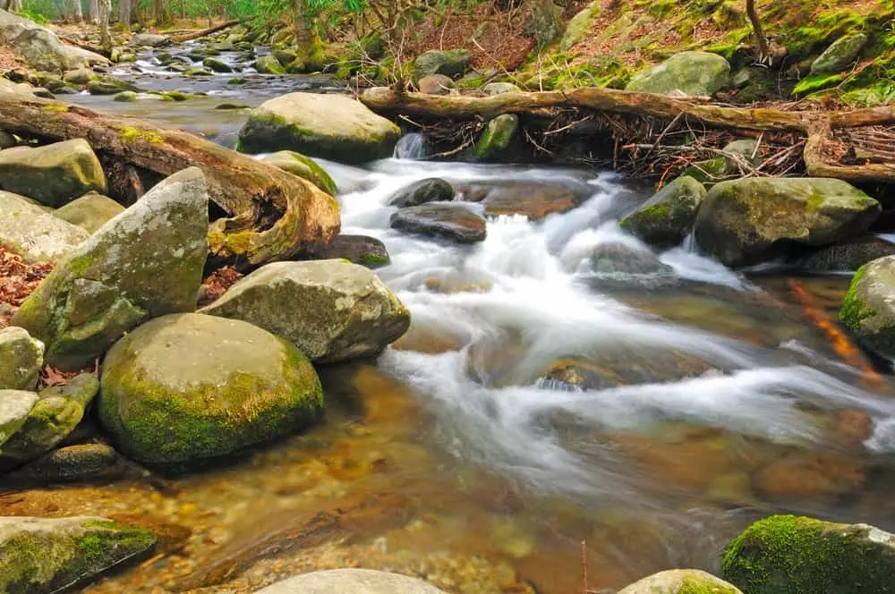 abrams creek in cades cove