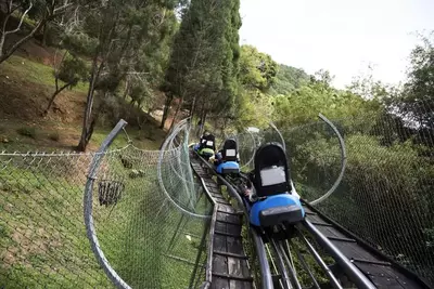 multiple cars on a mountain coaster