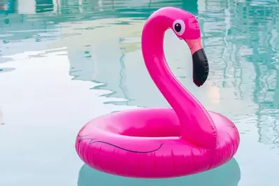 pink flamingo pool float