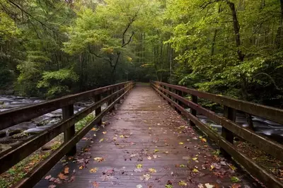 bridge in the smoky mountains national park