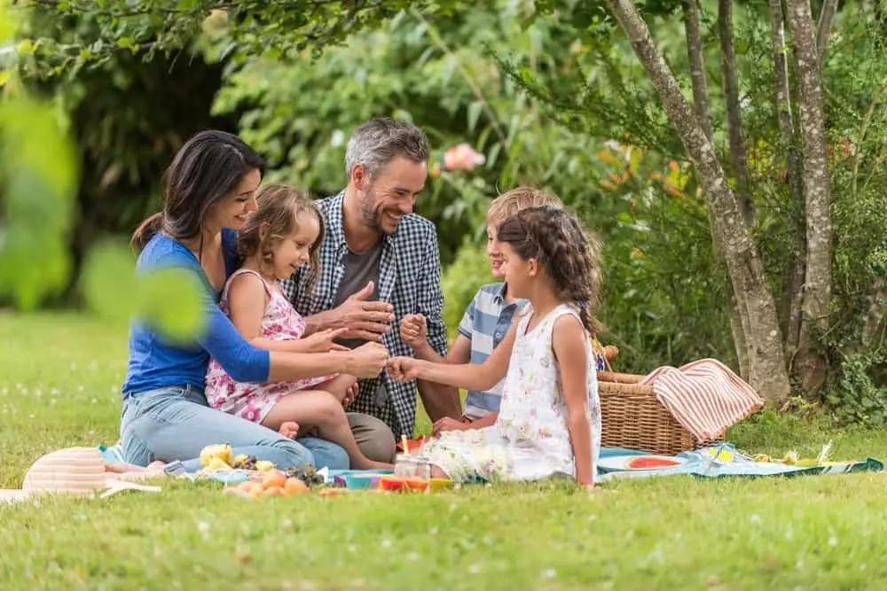 family-enjoying-picnic-at-park
