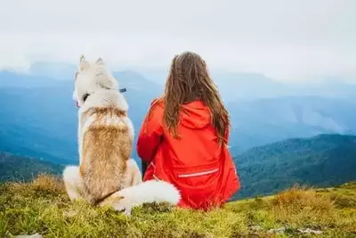 Girl and her dog looking out at the mountain view