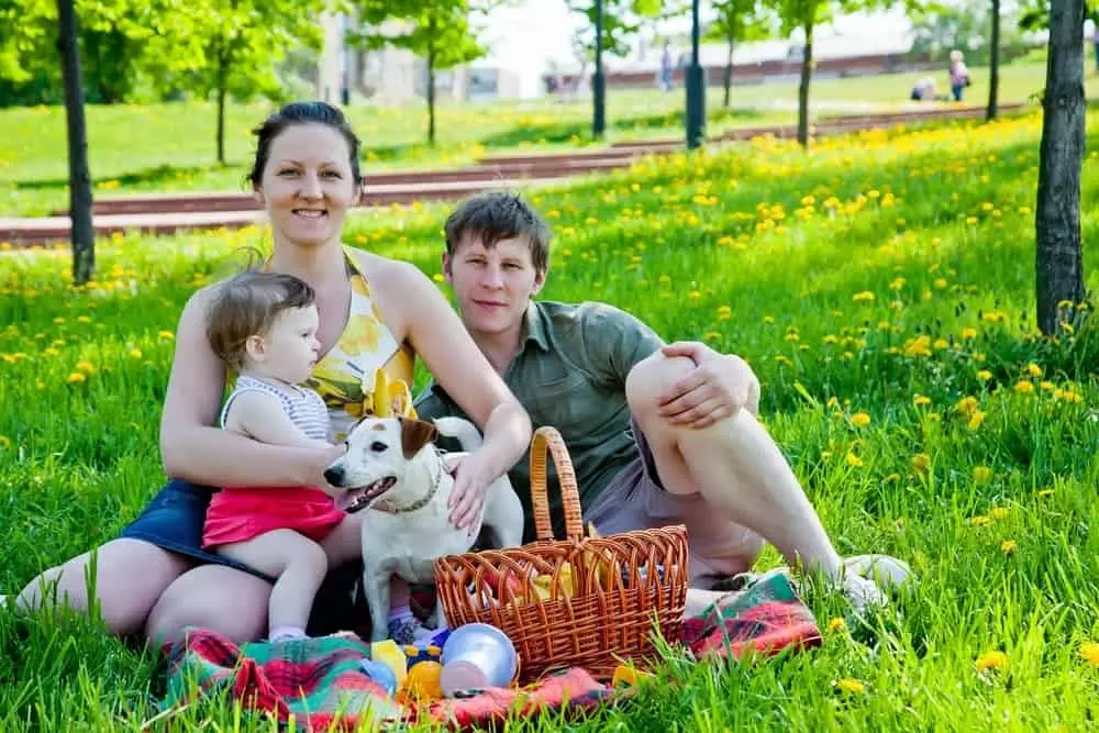 A family picnic with a dog in a park.