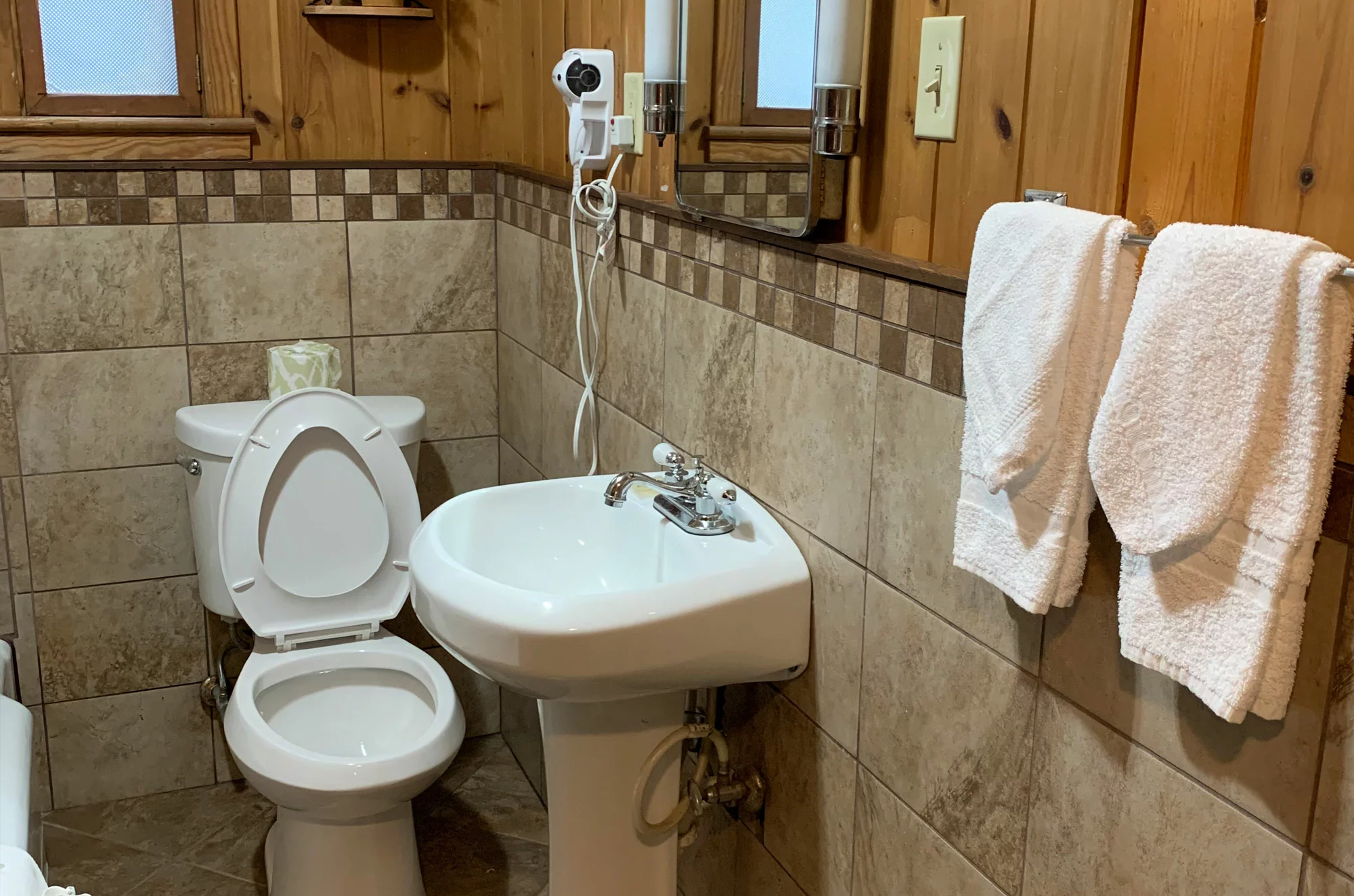 toilet and sink in Gatlinburg cabin
