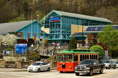 Ripley's Aquarium of the Smokies in Gatlinburg TN