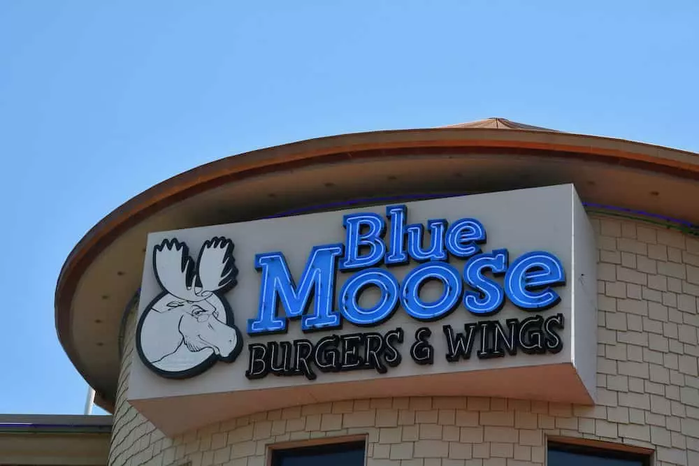 Blue Moose in Pigeon Forge