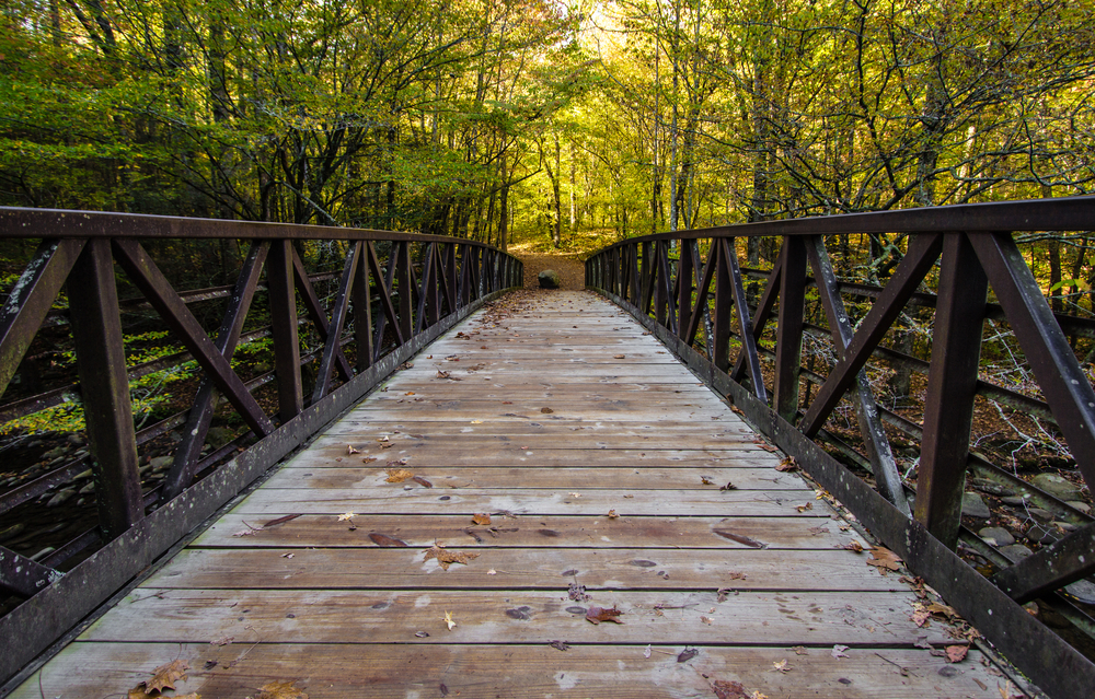 Bridge over river on Gatlinburg Trail