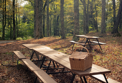 picnic area Gatlinburg tn