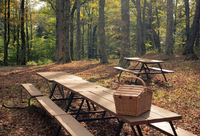 picnic area Gatlinburg tn