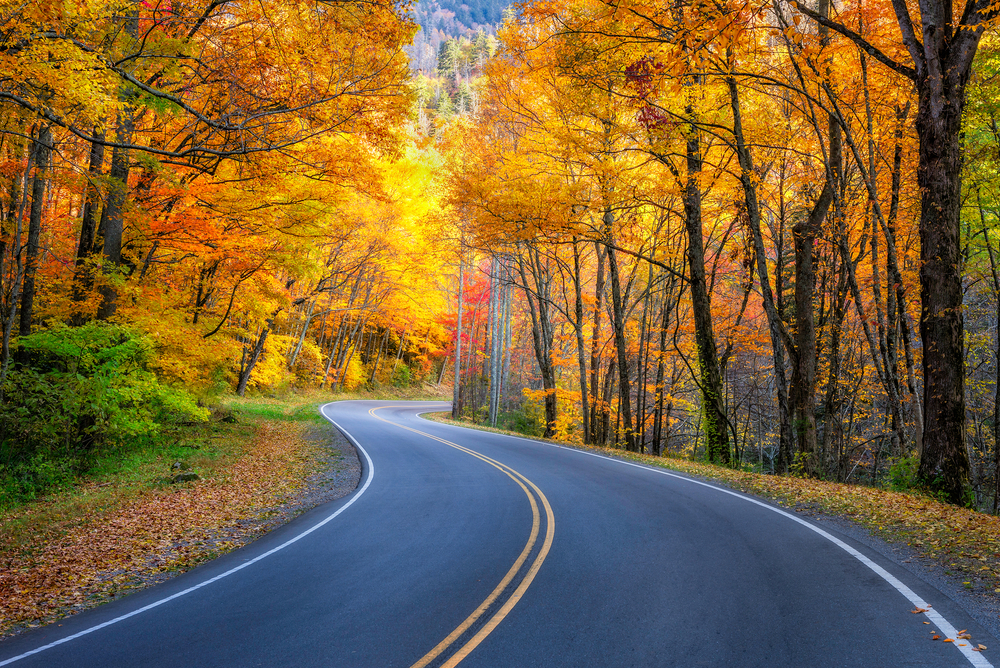 us 441 in fall