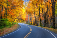 us 441 in fall