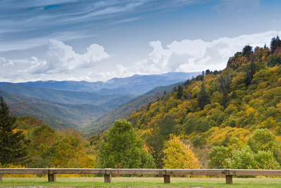fall views from US 441