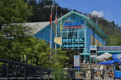 ripleys aquarium of the smokies