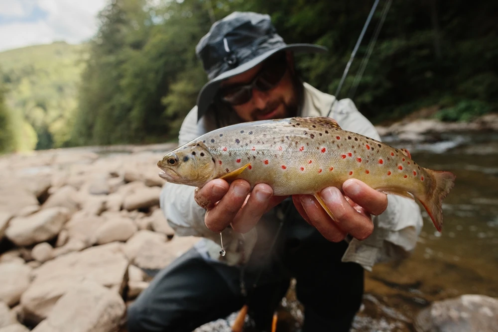 fishing - outdoor activities smoky mountains