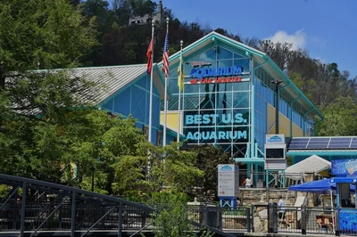 ripleys aquarium near our downtown Gatlinburg hotel