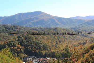 you can walk to Gatlinburg SkyBridge at the SkyPark from our cheap Gatlinburg hotel